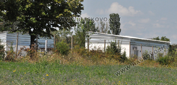 Кучешкият приют в Хасково готов, но под ключ, няма ветеринарна лаборатория