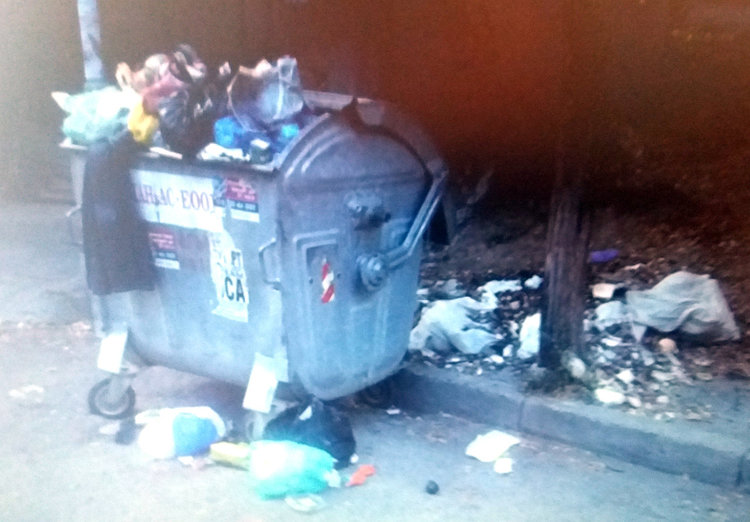 Читател: Узунджово тъне в боклуци, парковете са тревясали