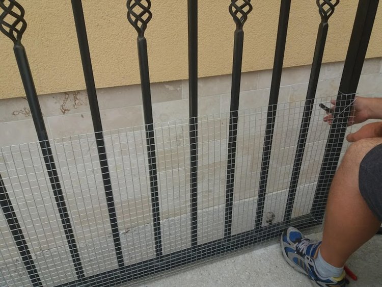 Подаден е сигнал срещу агресивни кучета, заселили се в двора на "Кротнев"