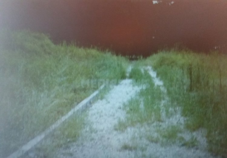 Читател: Узунджово тъне в боклуци, парковете са тревясали