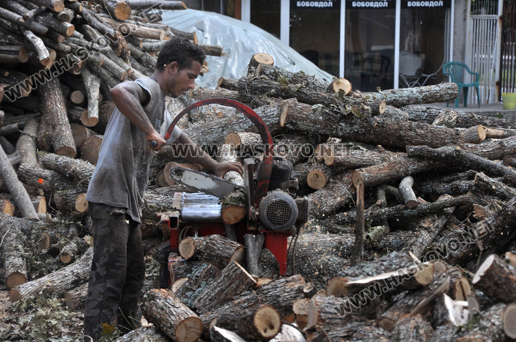 Дървата за огрев в Хасково удариха 180 лева за тон
