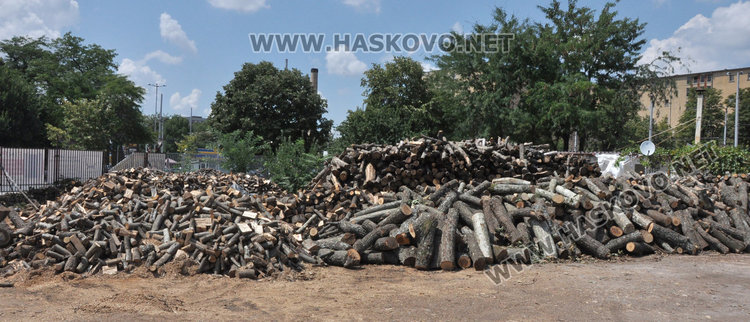 Дървата за огрев в Хасково удариха 180 лева за тон