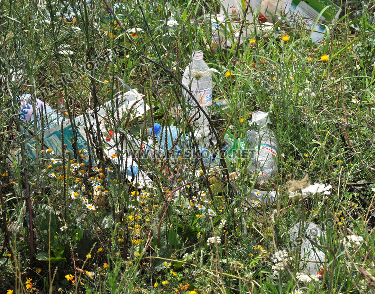 Рибари окупираха Сивата вода, шараните отново ничии