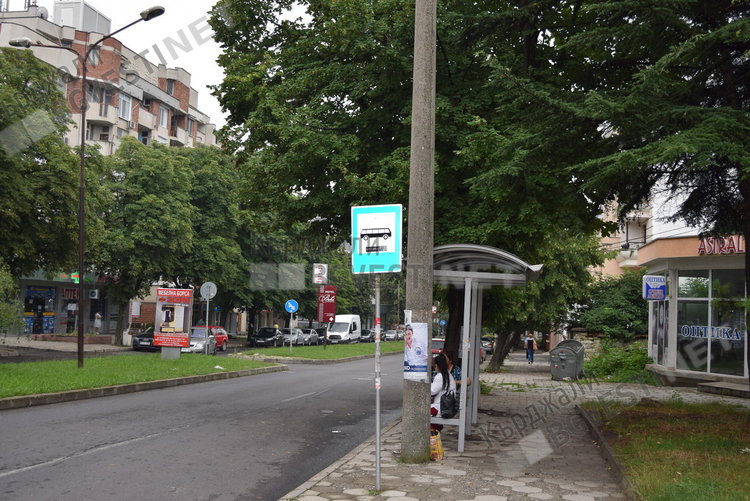 Общественици алармират: Дърветата по основни булеварди не са окастрени, носят опасности