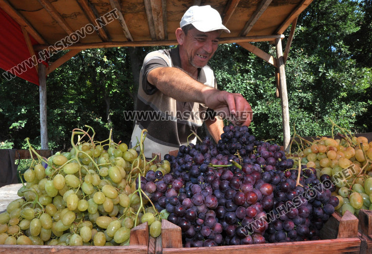 Сашо Сталев от Козлец