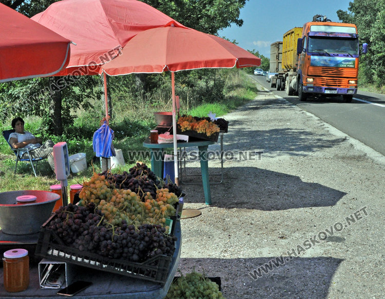 Оси нападнаха лозята, ранното грозде вече на сергиите