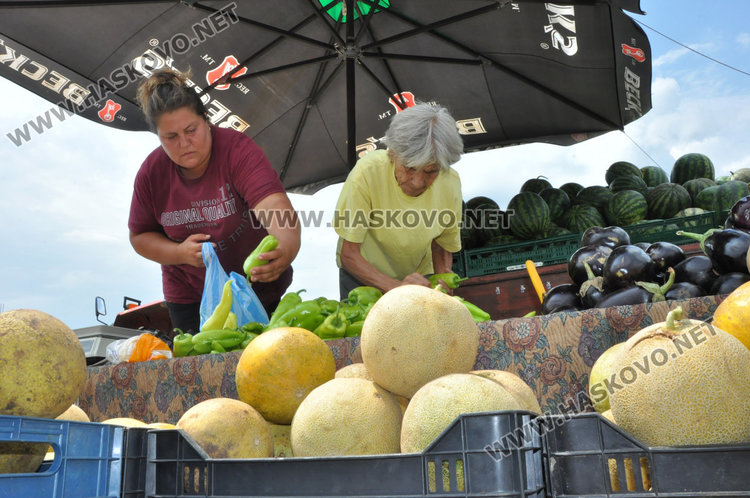 Дъждовното лято „ обра" корнишоните до август и вдигна цената им с 30 ст.