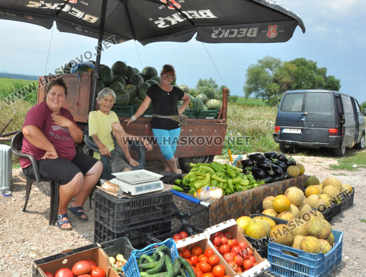 Дъждовното лято „ обра" корнишоните до август и вдигна цената им с 30 ст.