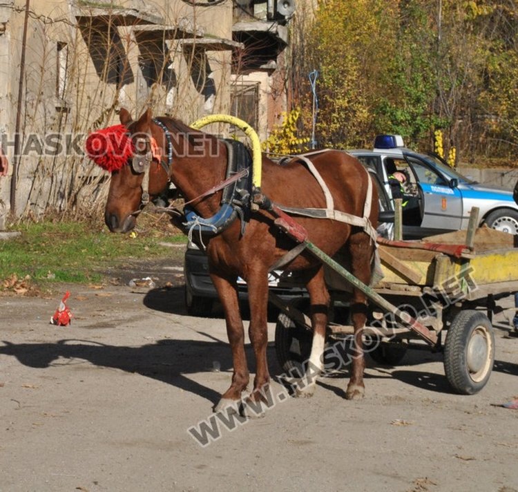 Снимката е илюстративна