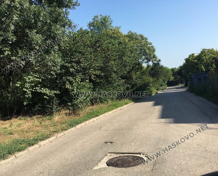 Омбудсмана на Републиката пристига на протест срещу застрояването в парк Вапцаров