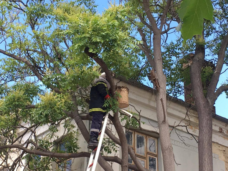 Снимката е илюстративна