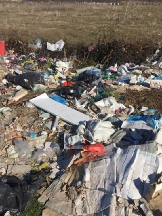 46 хиляди лева от глоби преведе РИОСВ на община Асеновград