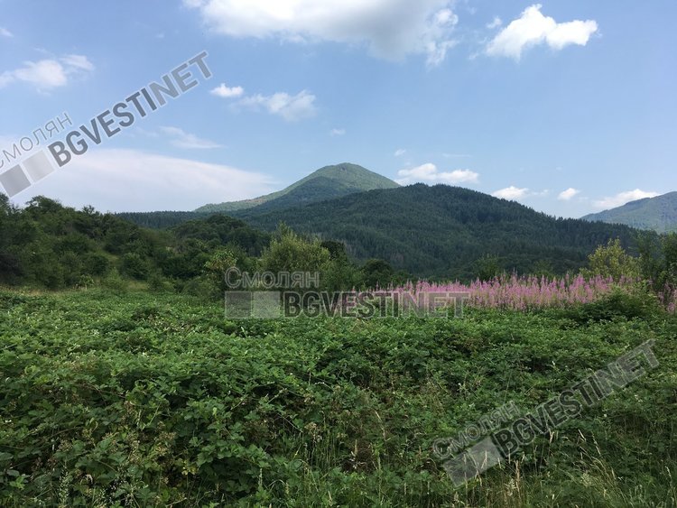 Прекрасен 9 август, топло и ясно с лек ветрец