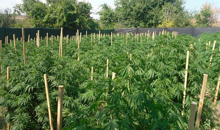 снимката е илюстративна,източник интернет