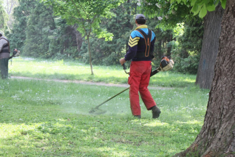 С препарати ще морят кърлежи и комари в  Първомай