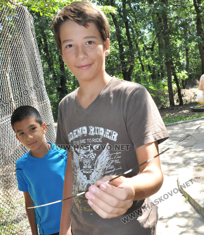 бодлите от на арриканските свинчета са много остри и здрави