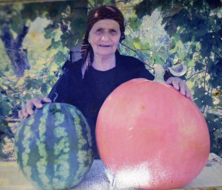 Баба Станка навърши 104 години