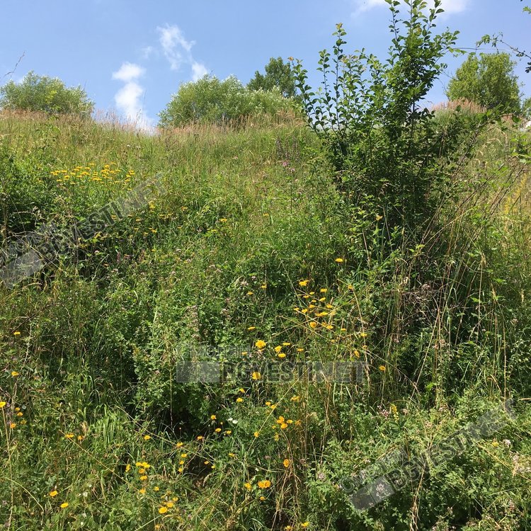 Летен микс: слънце, облаци и вятър в сряда