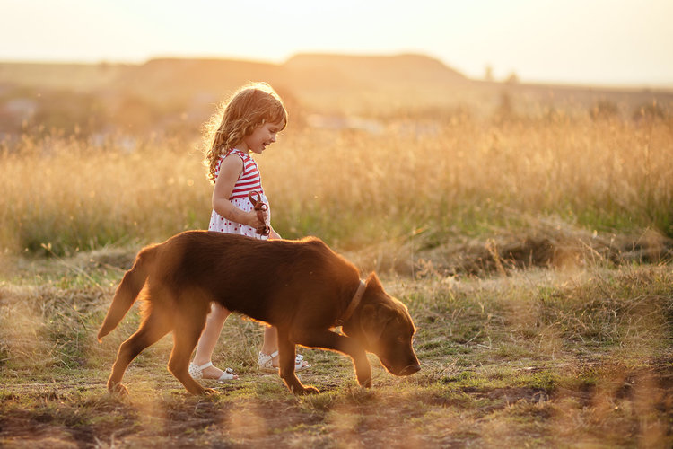 Нови снимки по паната на бул. „България“