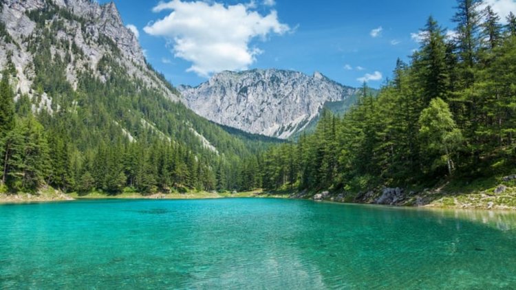 Парк на дъното на австрийско езеро (видео)