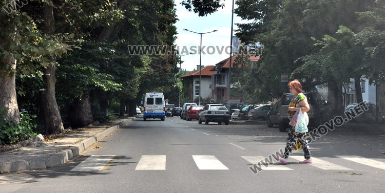 „Екопрогрес“ обнови 32 зебри, боядисват още близо месец