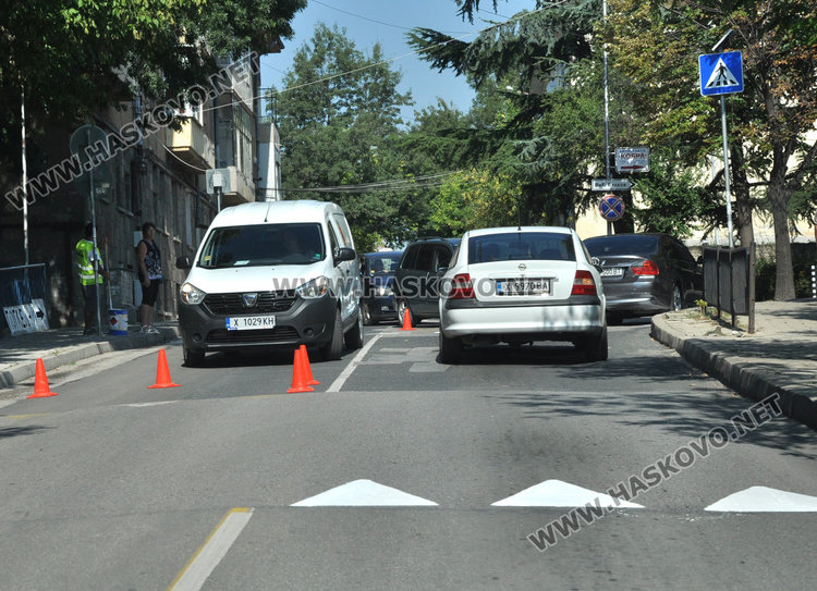„Екопрогрес“ обнови 32 зебри, боядисват още близо месец