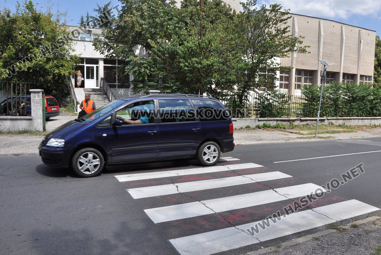 „Екопрогрес“ обнови 32 зебри, боядисват още близо месец