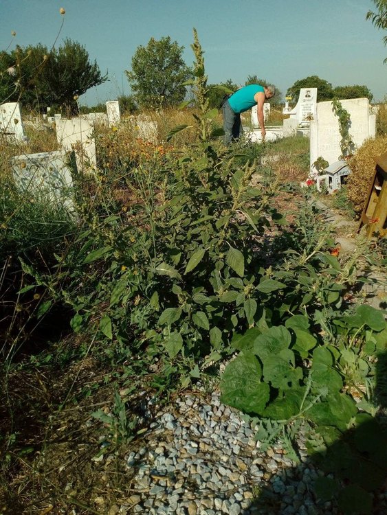 19 хил.лв. разходи от началото на годината за почистване на гробищата