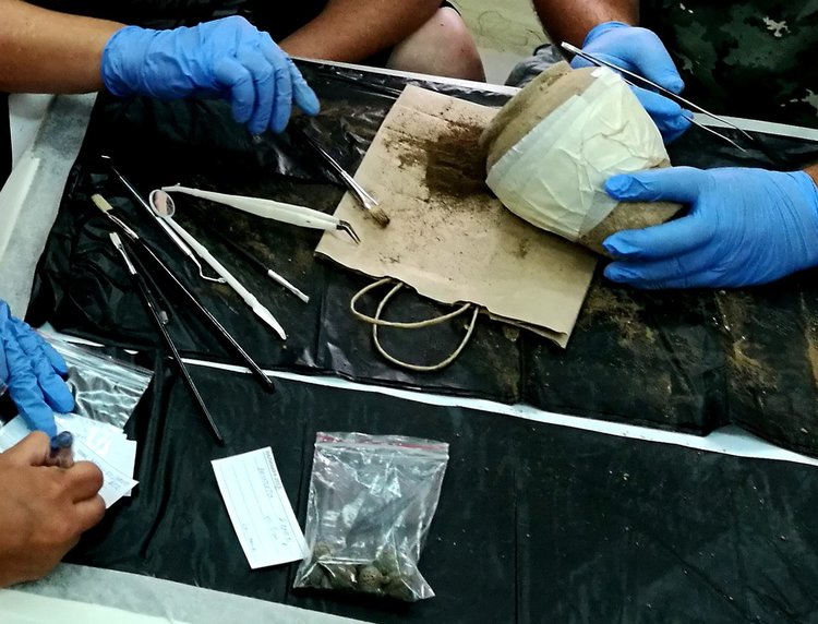 Монетите от съкровището „Татарска плячка“ от Калиакра