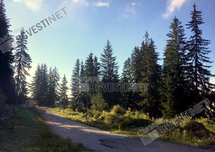 Събота: слънчево, с облаци и ветрец