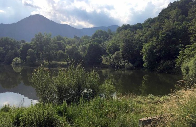 Слънце до обяд, жълт код за валеж след това