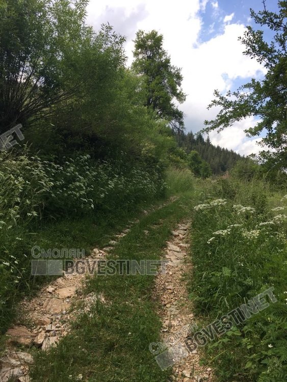 Вторник: Вятър и повече облаци, но без дъжд