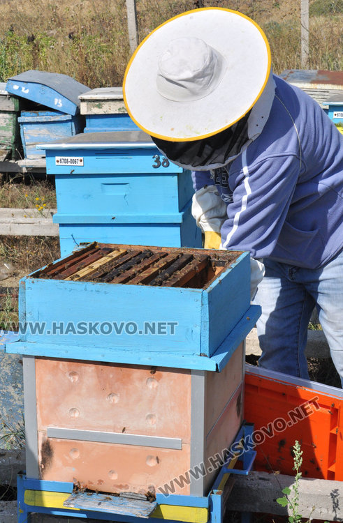 Хасковлийка създаде керамичен кошер, който спасява пчелите и увеличава добива