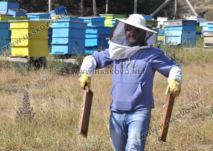 Хасковлийка създаде керамичен кошер, който спасява пчелите и увеличава добива
