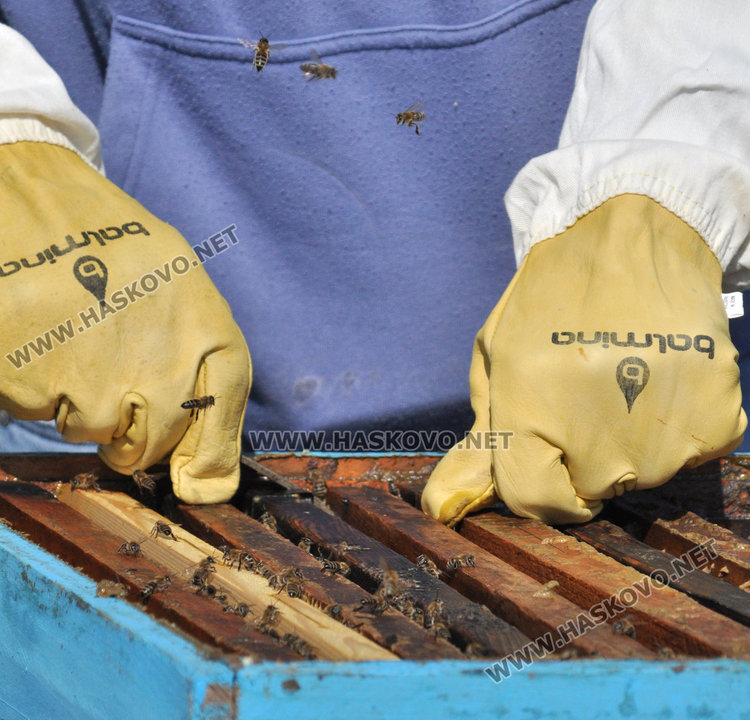 Хасковлийка създаде керамичен кошер, който спасява пчелите и увеличава добива