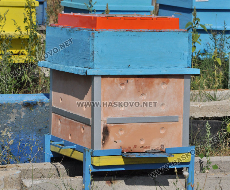 Хасковлийка създаде керамичен кошер, който спасява пчелите и увеличава добива