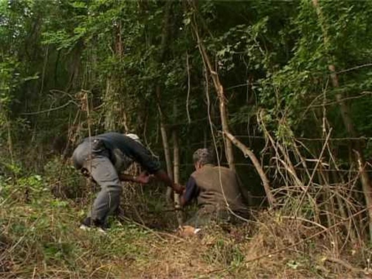 Снимката е илюстративна,източник интернет