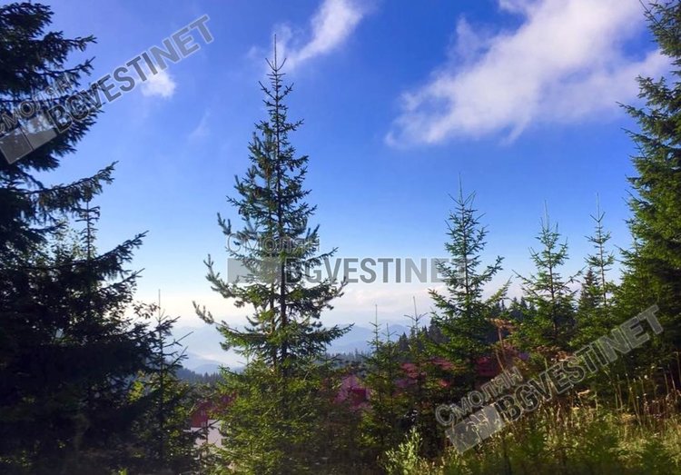 Лятно време в първия ден от септевмри, идат дъждове