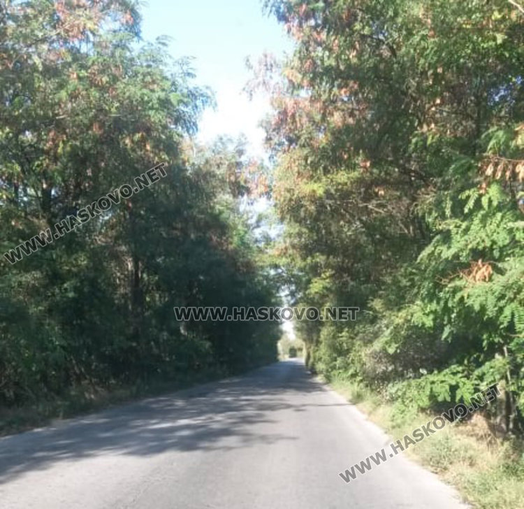 Разчистват около знаците на пътя за Симеоновград до края на седмицата 