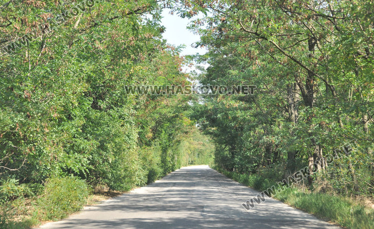 Разчистват около знаците на пътя за Симеоновград до края на седмицата 