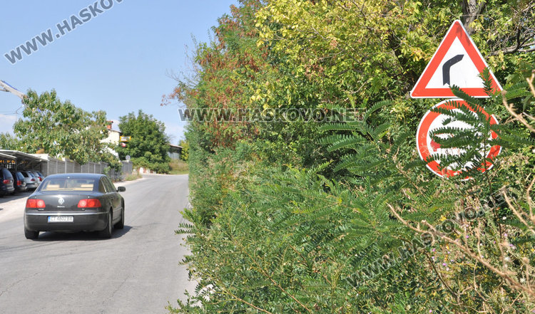 Разчистват около знаците на пътя за Симеоновград до края на седмицата 