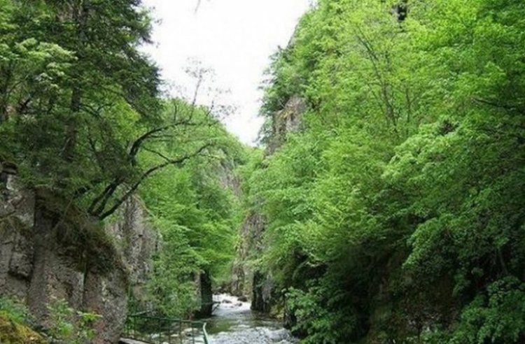 Пожарникари спасяват четирима изгубени туристи в горите край Девин и Ягодина