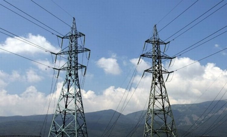 Пожарникари отстраниха паднало върху далекопровод дърво