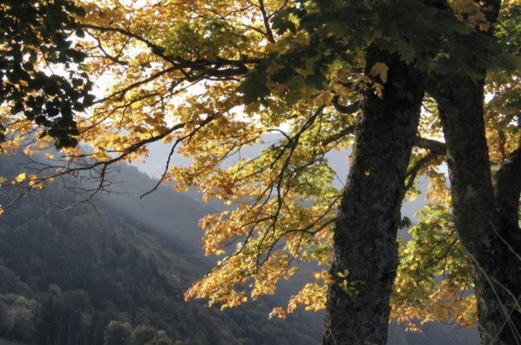 На 11 септември – все още преобладаващо слънчево, само на отделни места се очакват валежи