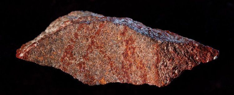 #очарователно: учени откриха най-старата рисунка в човешката история