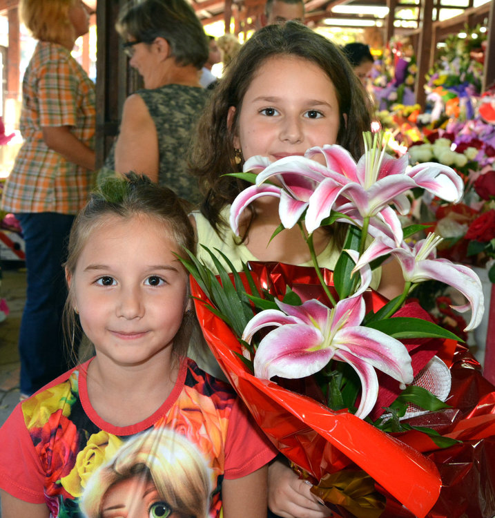 Топло начало на седмицата 