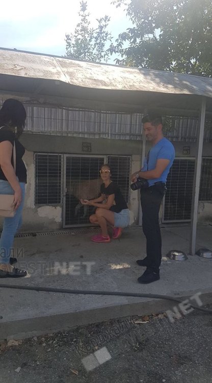 Приютът в Кърджали