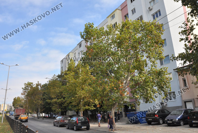 Блок на „Васил Левски“: Посрещаме зимата без прозорци, фирмата заряза санирането 