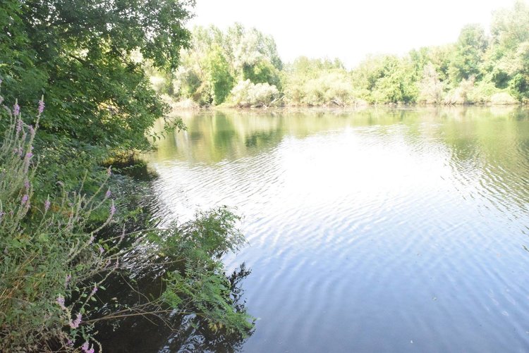 За първи път чистят коритото на Арда до границата с Гърция