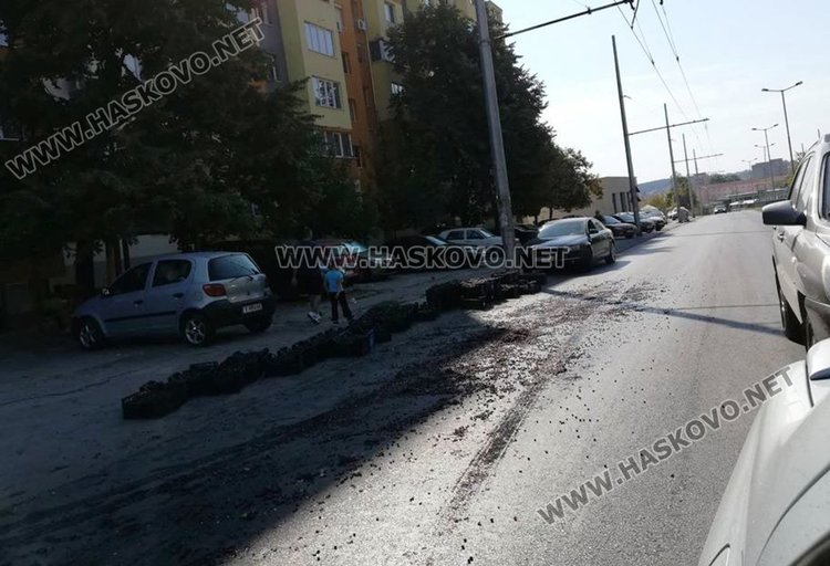 Бус разсипа грозде по „Васил Левски”